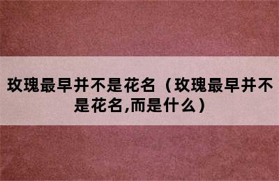 玫瑰最早并不是花名（玫瑰最早并不是花名,而是什么）