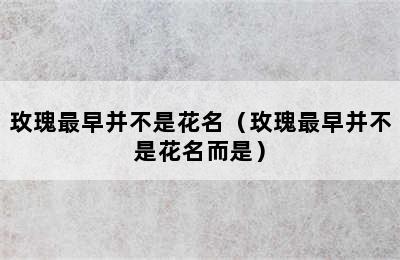 玫瑰最早并不是花名（玫瑰最早并不是花名而是）