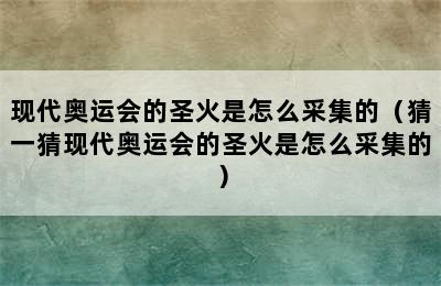 现代奥运会的圣火是怎么采集的（猜一猜现代奥运会的圣火是怎么采集的）