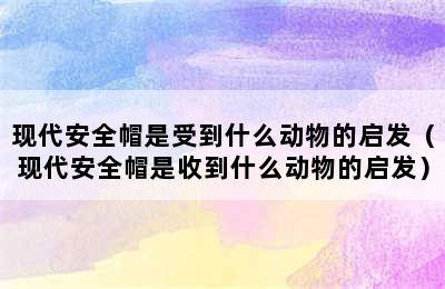 现代安全帽是受到什么动物的启发（现代安全帽是收到什么动物的启发）