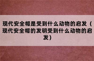 现代安全帽是受到什么动物的启发（现代安全帽的发明受到什么动物的启发）