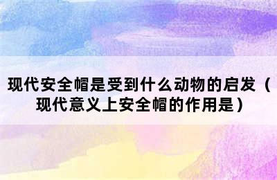 现代安全帽是受到什么动物的启发（现代意义上安全帽的作用是）