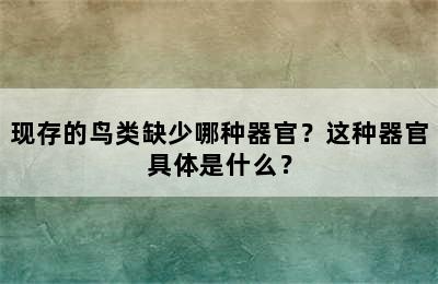 现存的鸟类缺少哪种器官？这种器官具体是什么？