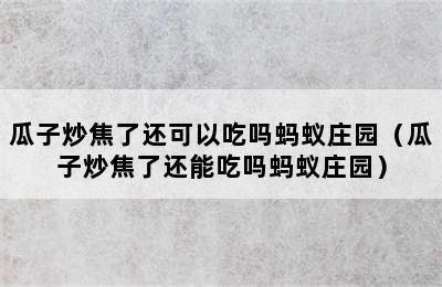 瓜子炒焦了还可以吃吗蚂蚁庄园（瓜子炒焦了还能吃吗蚂蚁庄园）