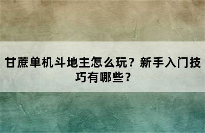 甘蔗单机斗地主怎么玩？新手入门技巧有哪些？