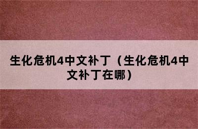 生化危机4中文补丁（生化危机4中文补丁在哪）