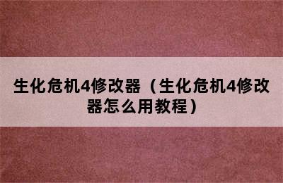 生化危机4修改器（生化危机4修改器怎么用教程）