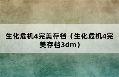 生化危机4完美存档（生化危机4完美存档3dm）