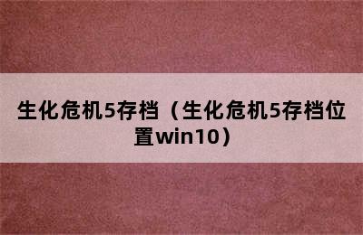 生化危机5存档（生化危机5存档位置win10）