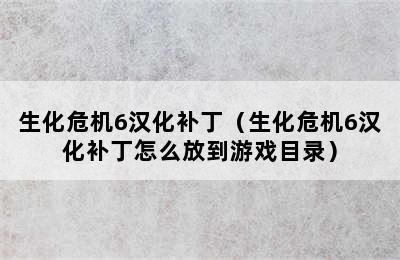 生化危机6汉化补丁（生化危机6汉化补丁怎么放到游戏目录）