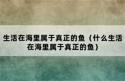 生活在海里属于真正的鱼（什么生活在海里属于真正的鱼）