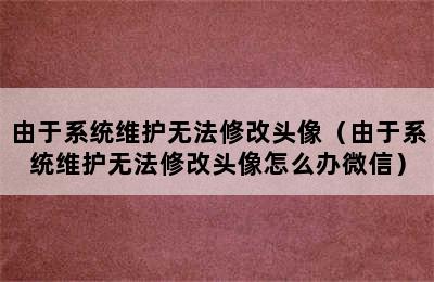 由于系统维护无法修改头像（由于系统维护无法修改头像怎么办微信）