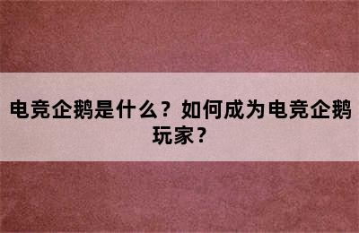 电竞企鹅是什么？如何成为电竞企鹅玩家？
