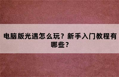 电脑版光遇怎么玩？新手入门教程有哪些？