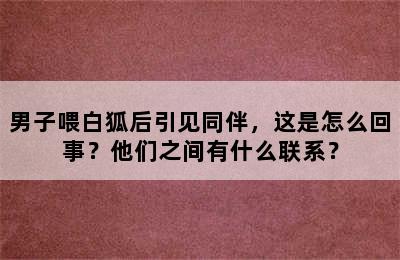 男子喂白狐后引见同伴，这是怎么回事？他们之间有什么联系？