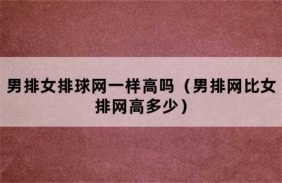 男排女排球网一样高吗（男排网比女排网高多少）