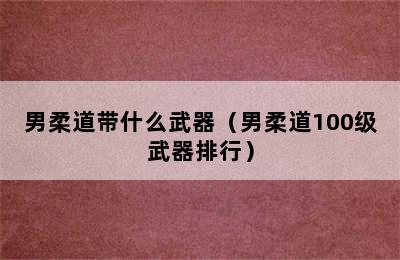 男柔道带什么武器（男柔道100级武器排行）