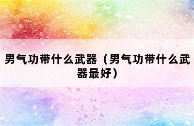 男气功带什么武器（男气功带什么武器最好）