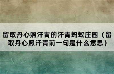 留取丹心照汗青的汗青蚂蚁庄园（留取丹心照汗青前一句是什么意思）