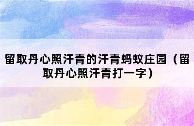 留取丹心照汗青的汗青蚂蚁庄园（留取丹心照汗青打一字）