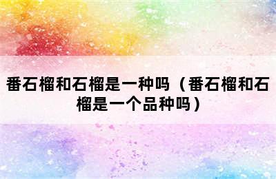 番石榴和石榴是一种吗（番石榴和石榴是一个品种吗）