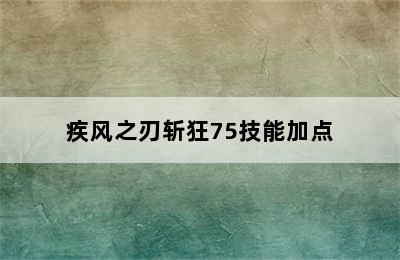 疾风之刃斩狂75技能加点