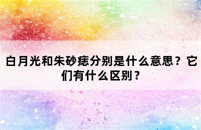 白月光和朱砂痣分别是什么意思？它们有什么区别？