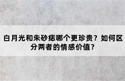 白月光和朱砂痣哪个更珍贵？如何区分两者的情感价值？