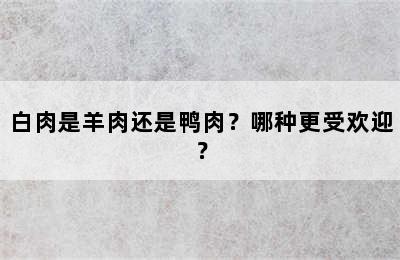 白肉是羊肉还是鸭肉？哪种更受欢迎？