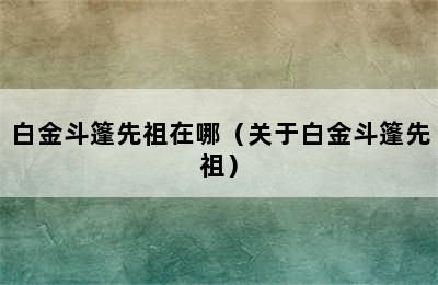 白金斗篷先祖在哪（关于白金斗篷先祖）