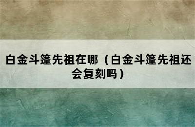 白金斗篷先祖在哪（白金斗篷先祖还会复刻吗）