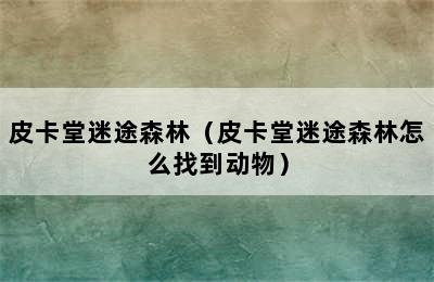 皮卡堂迷途森林（皮卡堂迷途森林怎么找到动物）