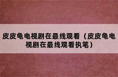 皮皮龟电视剧在最线观看（皮皮龟电视剧在最线观看执笔）