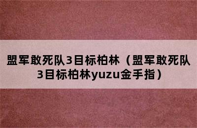 盟军敢死队3目标柏林（盟军敢死队3目标柏林yuzu金手指）