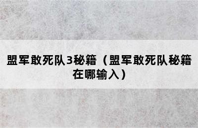 盟军敢死队3秘籍（盟军敢死队秘籍在哪输入）