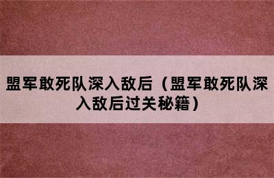 盟军敢死队深入敌后（盟军敢死队深入敌后过关秘籍）