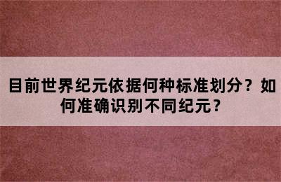 目前世界纪元依据何种标准划分？如何准确识别不同纪元？