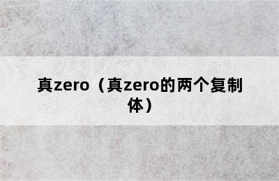 真zero（真zero的两个复制体）