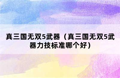 真三国无双5武器（真三国无双5武器力技标准哪个好）