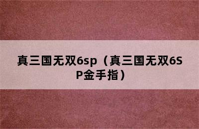 真三国无双6sp（真三国无双6SP金手指）