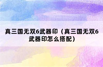 真三国无双6武器印（真三国无双6武器印怎么搭配）