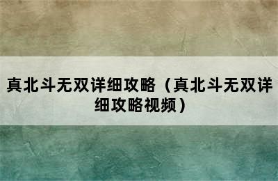 真北斗无双详细攻略（真北斗无双详细攻略视频）