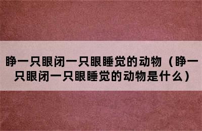 睁一只眼闭一只眼睡觉的动物（睁一只眼闭一只眼睡觉的动物是什么）