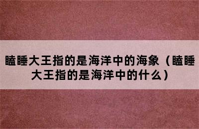 瞌睡大王指的是海洋中的海象（瞌睡大王指的是海洋中的什么）