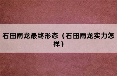 石田雨龙最终形态（石田雨龙实力怎样）