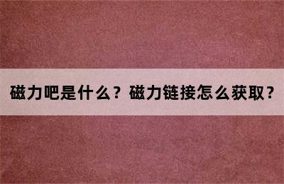 磁力吧是什么？磁力链接怎么获取？