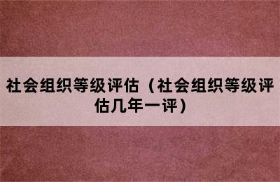 社会组织等级评估（社会组织等级评估几年一评）