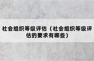 社会组织等级评估（社会组织等级评估的要求有哪些）