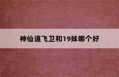 神仙道飞卫和19妹哪个好