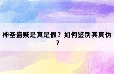 神圣盗贼是真是假？如何鉴别其真伪？